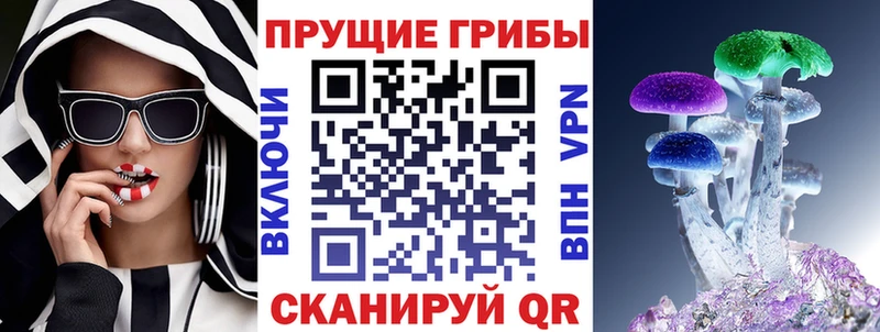 Галлюциногенные грибы прущие грибы Купить Курчалой